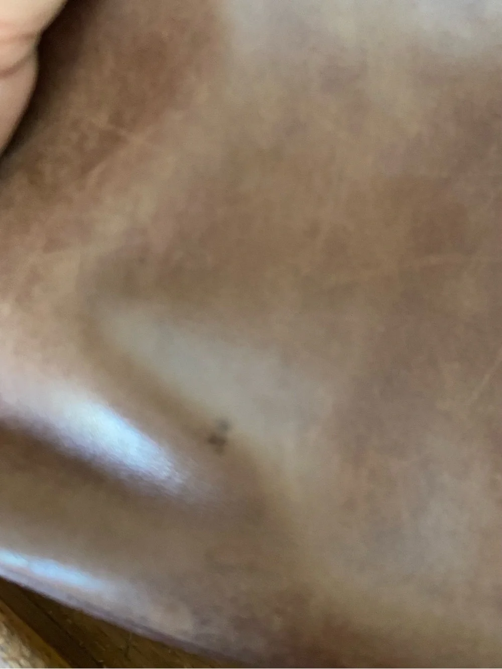 Coach Legacy West Classic Brown Leather Hobo Bag